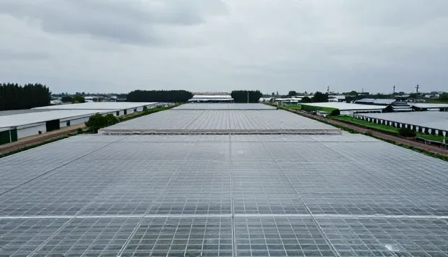 种植效率提升的关键：技术更新与应用场景适配